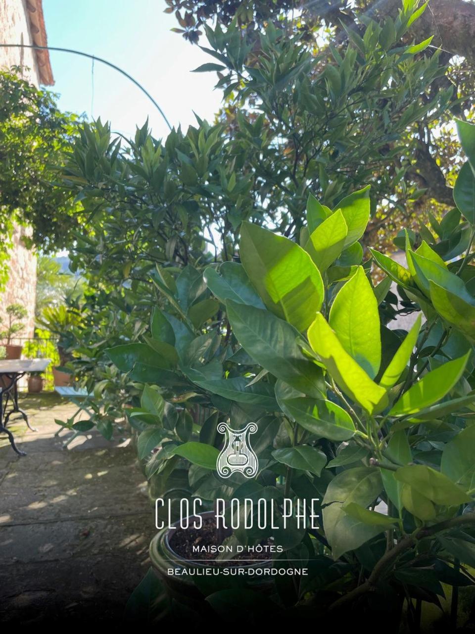 Le Clos Rodolphe Beaulieu-sur-Dordogne Eksteriør billede